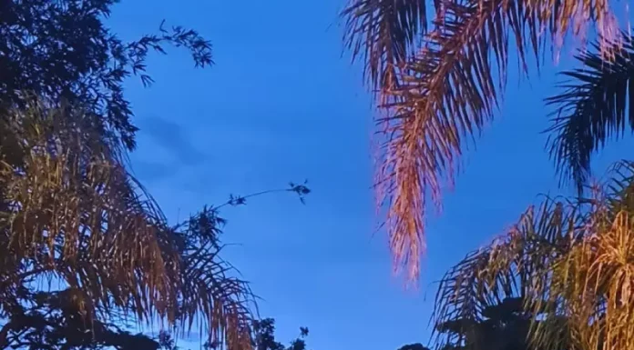 Viatura da Polícia Federal em frente ao endereço de buscas da Operação Sem Lastros