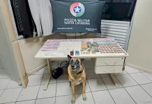 Drogas e munições apreendidas pela polícia militar em São José