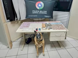 Drogas e munições apreendidas pela polícia militar em São José