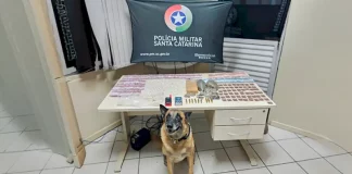 Drogas e munições apreendidas pela polícia militar em São José