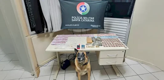 Drogas e munições apreendidas pela polícia militar em São José