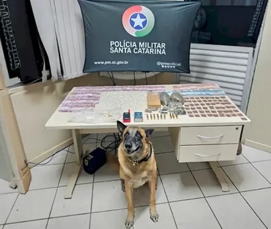 Drogas e munições apreendidas pela polícia militar em São José