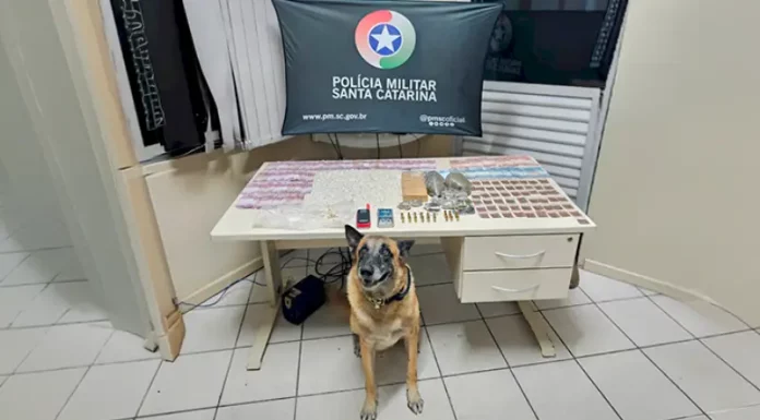 Drogas e munições apreendidas pela polícia militar em São José