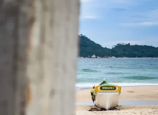 Barco de pesca artesanal na faixa de areia, com o mar ao fundo, em Florianópolis, ilustrando o cenário da safra da tainha e a importância da atividade pesqueira no litoral.