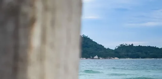 Barco de pesca artesanal na faixa de areia, com o mar ao fundo, em Florianópolis, ilustrando o cenário da safra da tainha e a importância da atividade pesqueira no litoral.
