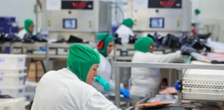 Trabalhadores da indústria processam alimentos em linha de produção, atividade que ilustra setores impactados pelo salário mínimo regional de SC.