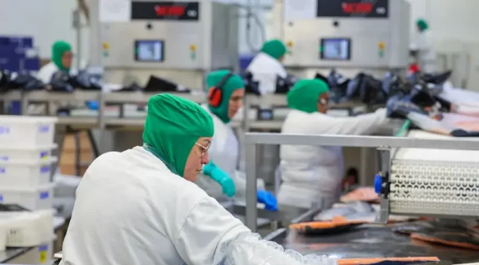 Trabalhadores da indústria processam alimentos em linha de produção, atividade que ilustra setores impactados pelo salário mínimo regional de SC.