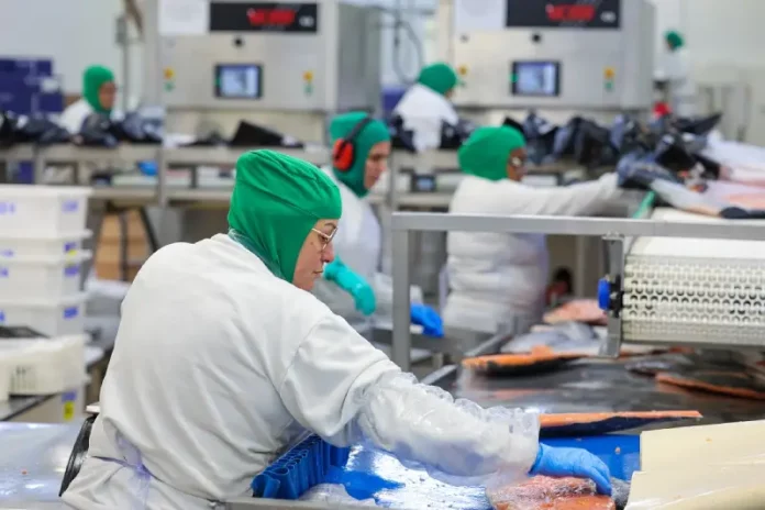 Trabalhadores da indústria processam alimentos em linha de produção, atividade que ilustra setores impactados pelo salário mínimo regional de SC.