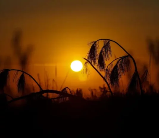 Sol forte ao entardecer simboliza o calor e o tempo firme durante o feriado de Páscoa em Santa Catarina