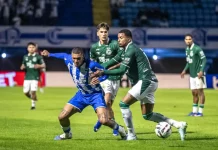 Avaí sofre nova derrota, Figueirense empata e movimentação agita o futebol catarinense e nacional