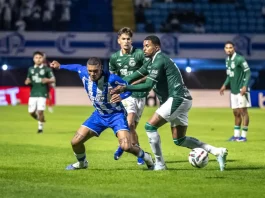 Avaí sofre nova derrota, Figueirense empata e movimentação agita o futebol catarinense e nacional