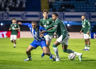 Avaí sofre nova derrota, Figueirense empata e movimentação agita o futebol catarinense e nacional