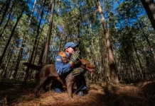 Cabo Josclei Tracz ao lado do cão Iron, representando os cães bombeiros do CBMSC em Santa Catarina durante atividades de busca e resgate.