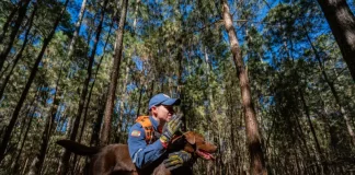 Cabo Josclei Tracz ao lado do cão Iron, representando os cães bombeiros do CBMSC em Santa Catarina durante atividades de busca e resgate.