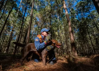 Cabo Josclei Tracz ao lado do cão Iron, representando os cães bombeiros do CBMSC em Santa Catarina durante atividades de busca e resgate.
