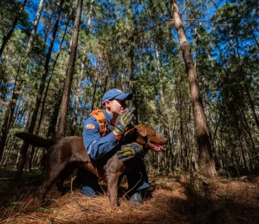 Cabo Josclei Tracz ao lado do cão Iron, representando os cães bombeiros do CBMSC em Santa Catarina durante atividades de busca e resgate.