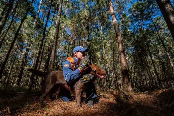Cabo Josclei Tracz ao lado do cão Iron, representando os cães bombeiros do CBMSC em Santa Catarina durante atividades de busca e resgate.