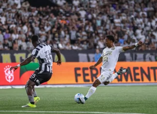 Jogadores da Chapecoense e Botafogo em campo pela Copa do Brasil