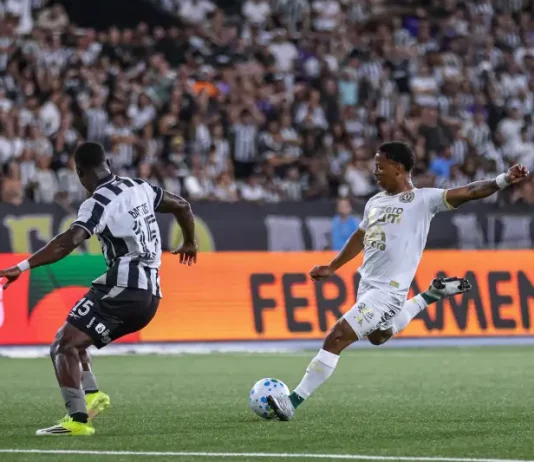 Jogadores da Chapecoense e Botafogo em campo pela Copa do Brasil