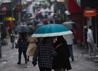 Chuva retorna a Santa Catarina no fim de semana e temperaturas seguem baixas Pessoas caminhando com guarda-chuvas no centro da cidade, mostrando que a chuva voltou no final de semana