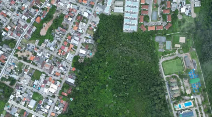 Terreno na SC-401 colocado a venda pela Ciasc