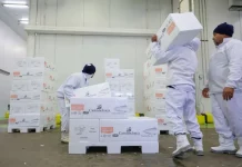 Trabalhadores carregam e organizam caixas em um centro de armazenamento refrigerado, representando a geração de empregos e o baixo índice de desemprego em Santa Catarina, estado que registrou a menor taxa de desocupação do país no primeiro trimestre de 2026.