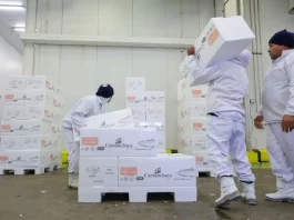 Trabalhadores carregam e organizam caixas em um centro de armazenamento refrigerado, representando a geração de empregos e o baixo índice de desemprego em Santa Catarina, estado que registrou a menor taxa de desocupação do país no primeiro trimestre de 2026.