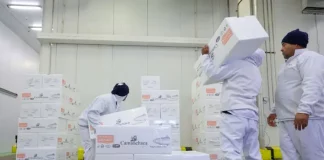 Trabalhadores carregam e organizam caixas em um centro de armazenamento refrigerado, representando a geração de empregos e o baixo índice de desemprego em Santa Catarina, estado que registrou a menor taxa de desocupação do país no primeiro trimestre de 2026.