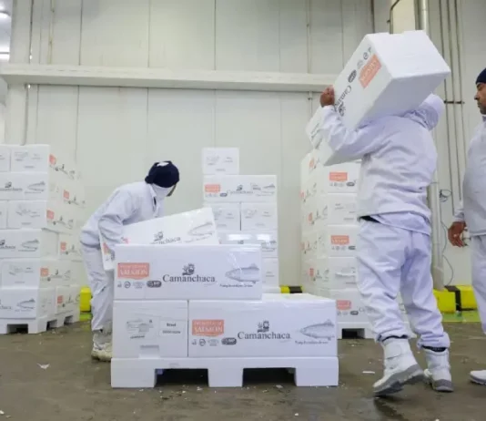 Trabalhadores carregam e organizam caixas em um centro de armazenamento refrigerado, representando a geração de empregos e o baixo índice de desemprego em Santa Catarina, estado que registrou a menor taxa de desocupação do país no primeiro trimestre de 2026.