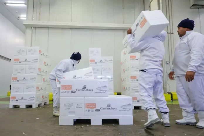 Trabalhadores carregam e organizam caixas em um centro de armazenamento refrigerado, representando a geração de empregos e o baixo índice de desemprego em Santa Catarina, estado que registrou a menor taxa de desocupação do país no primeiro trimestre de 2026.