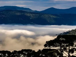 Dia das Mães terá frio intenso e geada em SC com avanço de massa polar Paisagem serrana de Santa Catarina coberta por neblina intensa entre montanhas e araucárias ao amanhecer, ilustrando a previsão de frio intenso, geada e chegada de massa de ar polar durante o fim de semana do Dia das Mães no estado.