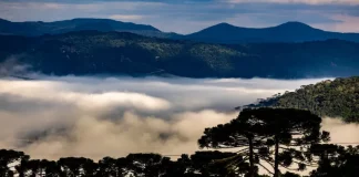 Paisagem serrana de Santa Catarina coberta por neblina intensa entre montanhas e araucárias ao amanhecer, ilustrando a previsão de frio intenso, geada e chegada de massa de ar polar durante o fim de semana do Dia das Mães no estado.