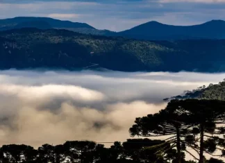 Paisagem serrana de Santa Catarina coberta por neblina intensa entre montanhas e araucárias ao amanhecer, ilustrando a previsão de frio intenso, geada e chegada de massa de ar polar durante o fim de semana do Dia das Mães no estado.