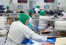 Funcionários trabalham em linha de produção industrial de alimentos, ilustrando a geração de empregos formais e o crescimento da indústria em Santa Catarina.