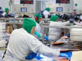 Funcionários trabalham em linha de produção industrial de alimentos, ilustrando a geração de empregos formais e o crescimento da indústria em Santa Catarina.