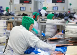 Funcionários trabalham em linha de produção industrial de alimentos, ilustrando a geração de empregos formais e o crescimento da indústria em Santa Catarina.