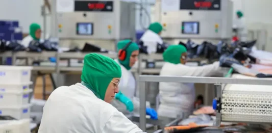 Com mais de 59 mil vagas no 1º trimestre, Santa Catarina lidera geração de empregos no Sul Funcionários trabalham em linha de produção industrial de alimentos, ilustrando a geração de empregos formais e o crescimento da indústria em Santa Catarina.