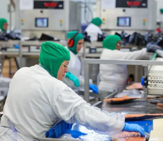 Funcionários trabalham em linha de produção industrial de alimentos, ilustrando a geração de empregos formais e o crescimento da indústria em Santa Catarina.