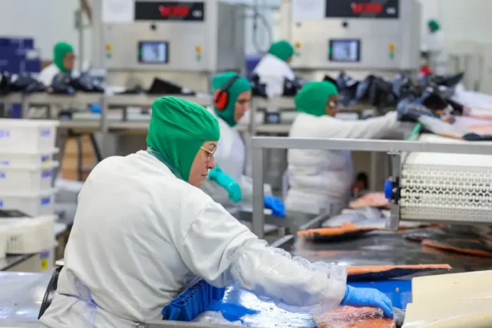 Funcionários trabalham em linha de produção industrial de alimentos, ilustrando a geração de empregos formais e o crescimento da indústria em Santa Catarina.
