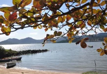 Vista de uma praia tranquila em Santa Catarina, com barcos à beira da água, mar calmo e galhos com folhas em primeiro plano. A imagem ilustra a previsão do tempo para o fim de semana no estado, que terá retorno da chuva e risco de temporais isolados na sexta-feira e no sábado, seguido de melhora nas condições do tempo e predomínio de sol no domingo.