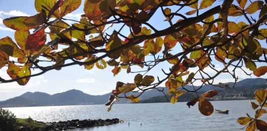 Fim de semana começa com temporais isolados e termina com sol em SC Vista de uma praia tranquila em Santa Catarina, com barcos à beira da água, mar calmo e galhos com folhas em primeiro plano. A imagem ilustra a previsão do tempo para o fim de semana no estado, que terá retorno da chuva e risco de temporais isolados na sexta-feira e no sábado, seguido de melhora nas condições do tempo e predomínio de sol no domingo.