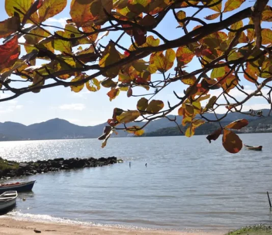 Vista de uma praia tranquila em Santa Catarina, com barcos à beira da água, mar calmo e galhos com folhas em primeiro plano. A imagem ilustra a previsão do tempo para o fim de semana no estado, que terá retorno da chuva e risco de temporais isolados na sexta-feira e no sábado, seguido de melhora nas condições do tempo e predomínio de sol no domingo.