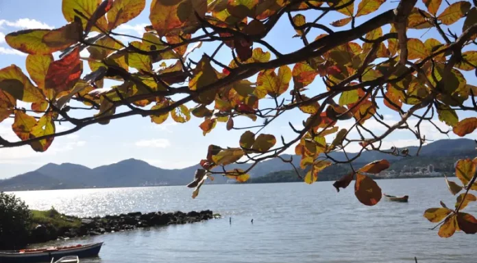 Fim de semana começa com temporais isolados e termina com sol em SC Vista de uma praia tranquila em Santa Catarina, com barcos à beira da água, mar calmo e galhos com folhas em primeiro plano. A imagem ilustra a previsão do tempo para o fim de semana no estado, que terá retorno da chuva e risco de temporais isolados na sexta-feira e no sábado, seguido de melhora nas condições do tempo e predomínio de sol no domingo.