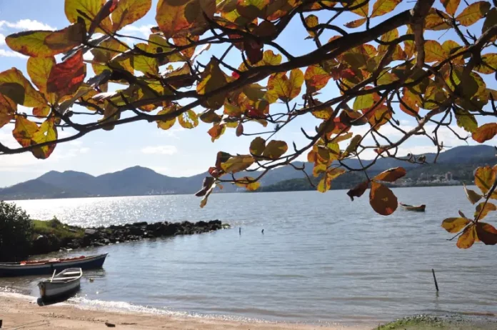 Vista de uma praia tranquila em Santa Catarina, com barcos à beira da água, mar calmo e galhos com folhas em primeiro plano. A imagem ilustra a previsão do tempo para o fim de semana no estado, que terá retorno da chuva e risco de temporais isolados na sexta-feira e no sábado, seguido de melhora nas condições do tempo e predomínio de sol no domingo.