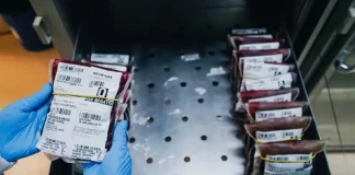 Profissional da saúde manuseia bolsas de sangue em unidade do Hemosc durante controle dos estoques, que estão em baixa em Santa Catarina.