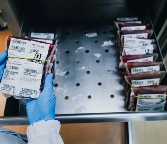Profissional da saúde manuseia bolsas de sangue em unidade do Hemosc durante controle dos estoques, que estão em baixa em Santa Catarina.