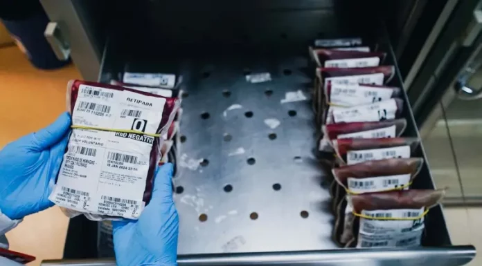 Hemosc alerta para baixa nos estoques de sangue tipos O e A Profissional da saúde manuseia bolsas de sangue em unidade do Hemosc durante controle dos estoques, que estão em baixa em Santa Catarina.