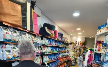 Agentes do Procon vistoriando pet shops e clínicas veterinárias