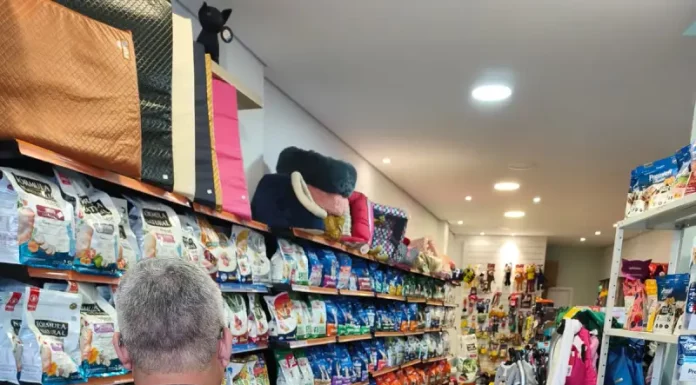 Procon encontra irregularidades em 78% de pet shops e clínicas em Florianópolis” Agentes do Procon vistoriando pet shops e clínicas veterinárias
