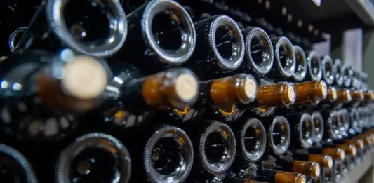 Garrafas de vinho armazenadas em adega representam o crescimento das vinícolas e da produção vitivinícola em Santa Catarina.